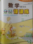 2018年數(shù)學(xué)分層課課練八年級下冊浙教版