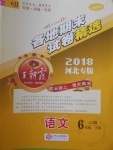 2018年王朝霞各地期末試卷精選六年級語文下冊冀教版河北專版