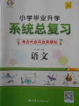 2018年宇軒圖書小學畢業(yè)升學系統(tǒng)總復習語文