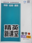 2018年精英新課堂七年級數學下冊湘教版