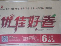 2018年優(yōu)佳好卷六年級(jí)語(yǔ)文下冊(cè)人教版