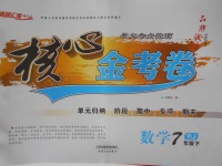 2018年核心金考卷七年級(jí)數(shù)學(xué)下冊(cè)人教版