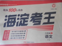 2018年期末100分闖關海淀考王六年級語文下冊語文版