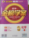 2018年世紀金榜金榜學案九年級化學下冊魯教版