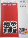 2018年精英新課堂九年級英語下冊人教版安徽專版