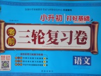 2018年小升初打好基礎(chǔ)考前三輪復(fù)習(xí)卷語(yǔ)文