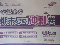 2018年培優(yōu)優(yōu)選卷期末復習沖刺卷八年級道德與法治下冊人教版
