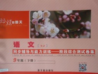 2018年為了燦爛的明天同步輔導與能力訓練階段綜合測試卷集九年級語文下冊蘇教版