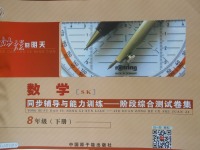2018年為了燦爛的明天同步輔導與能力訓練階段綜合測試卷集八年級數學下冊蘇科版