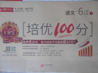 2018年王朝霞培優(yōu)100分六年級語文下冊冀教版