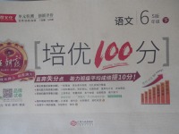 2018年王朝霞培優(yōu)100分六年級(jí)語(yǔ)文下冊(cè)語(yǔ)文S版