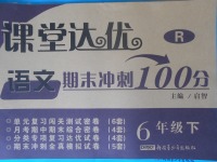 2018年课堂达优期末冲刺100分六年级语文下册人教版