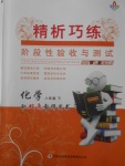 2018年精析巧練階段性驗(yàn)收與測試八年級化學(xué)下冊WR