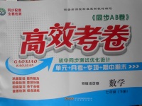 2018年同步AB卷高效考卷七年級數(shù)學(xué)下冊