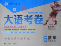 2018年大語考卷六年級(jí)數(shù)學(xué)下冊(cè)人教版