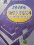 2018年初三数学中考总复习