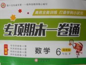 2018年專項期末一卷通六年級數(shù)學(xué)下冊冀教版