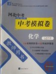 2018年河北中考中考模拟卷化学