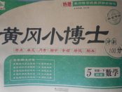 2018年黃岡小博士沖刺100分五年級(jí)數(shù)學(xué)下冊(cè)北師大版