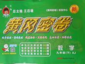 2018年王后雄黃岡密卷九年級數學下冊湘教版