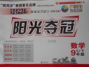 2018年陽光奪冠九年級數學下冊湘教版