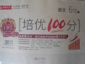 2018年王朝霞培優(yōu)100分六年級語文下冊北師大版