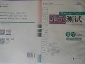 2018年單元測試九年級化學下冊魯教版四川教育出版社