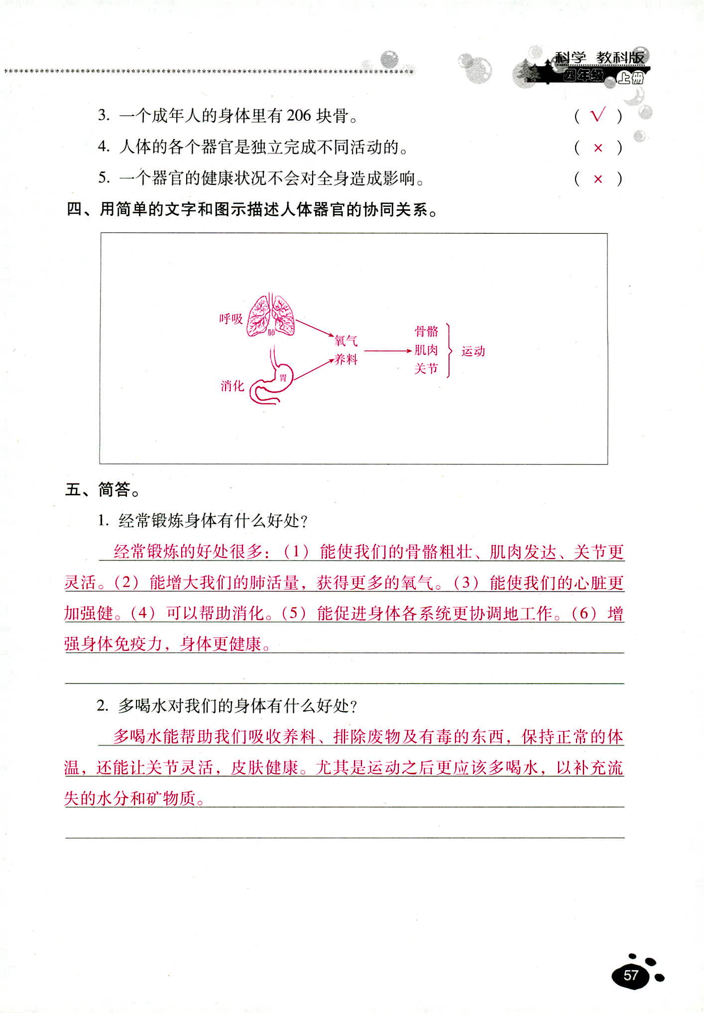 2018年云南省標準教輔同步指導(dǎo)訓(xùn)練與檢測四年級科學(xué)教科版 第57頁