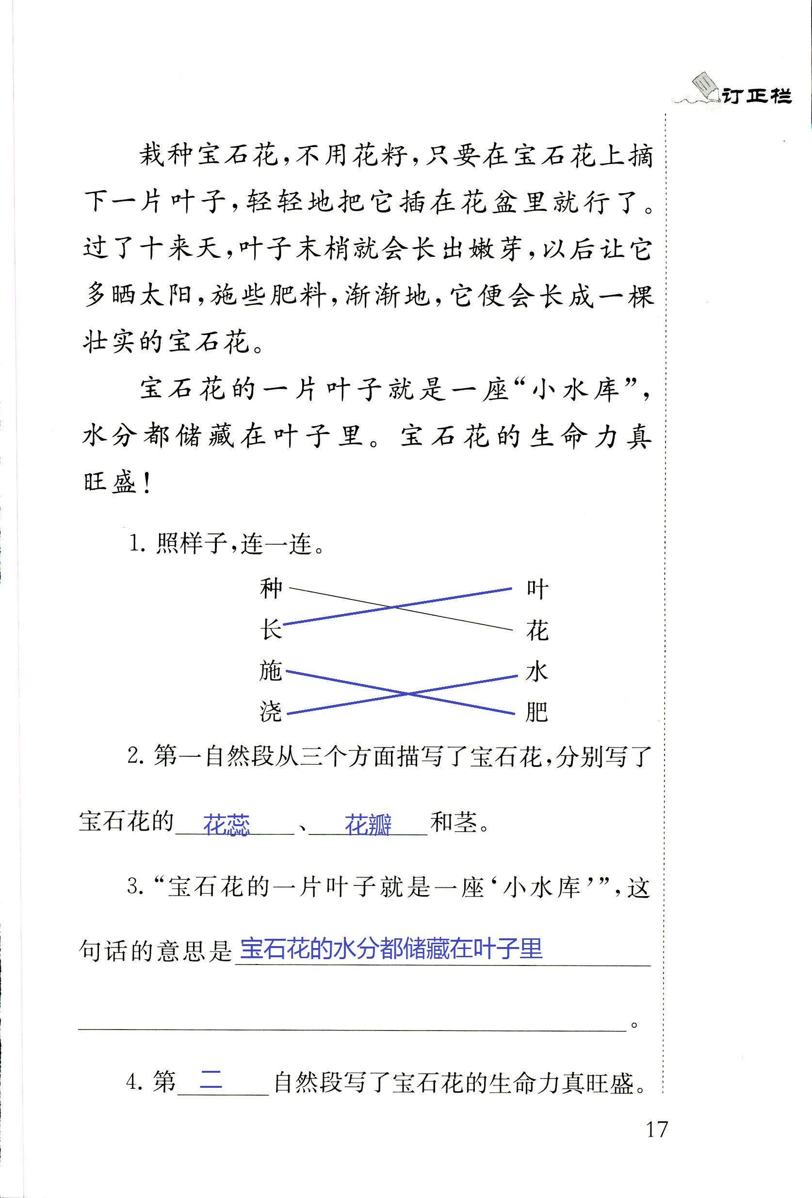 2018年配套練習冊江蘇三年級語文蘇教版 第17頁