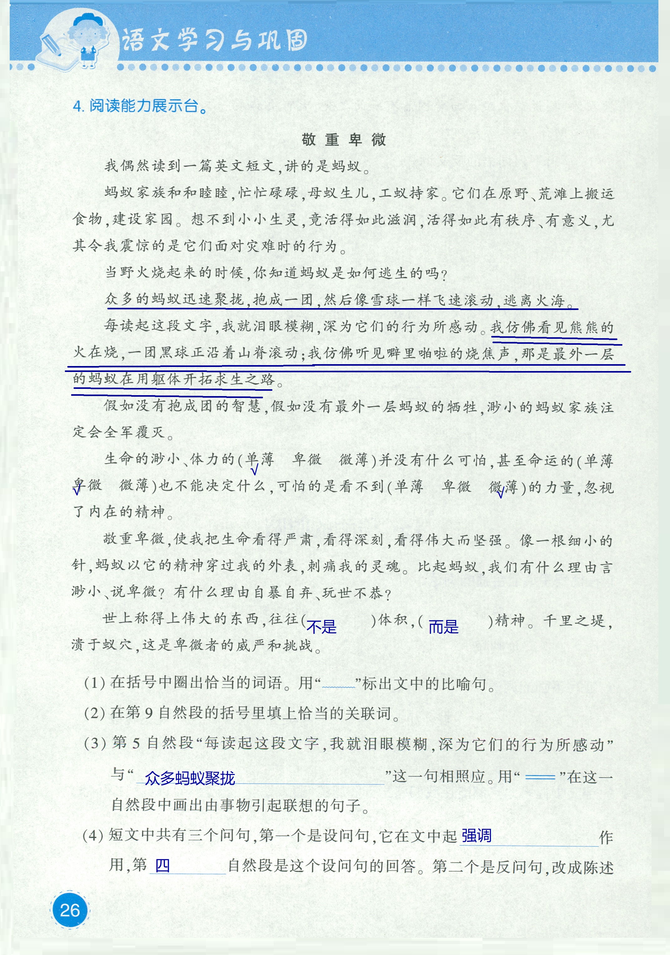 2018年學(xué)習(xí)與鞏固五年級(jí)語(yǔ)文西師大版 第26頁(yè)