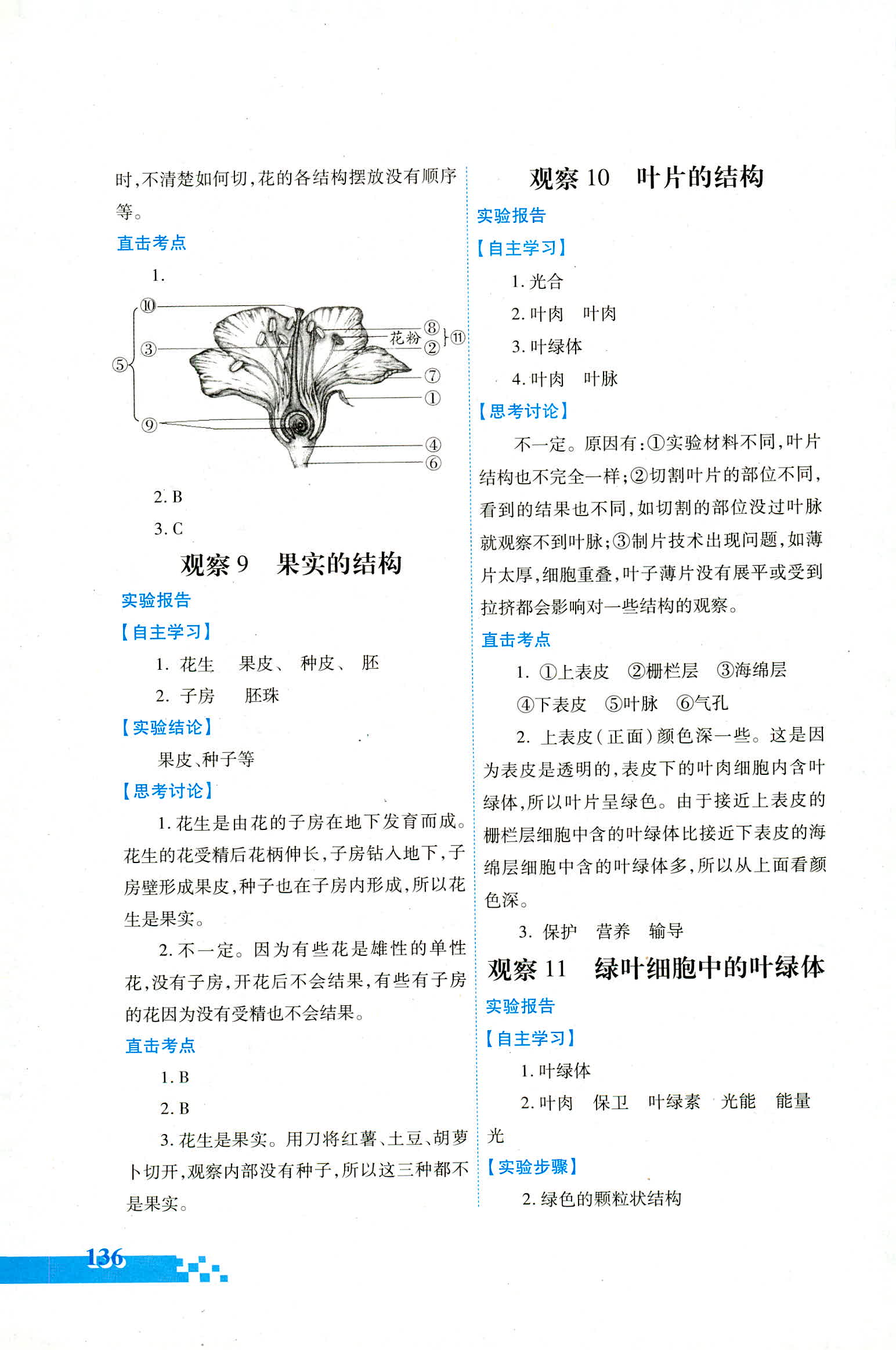 2018年實驗探究報告冊七年級生物學(xué)人教版 第10頁