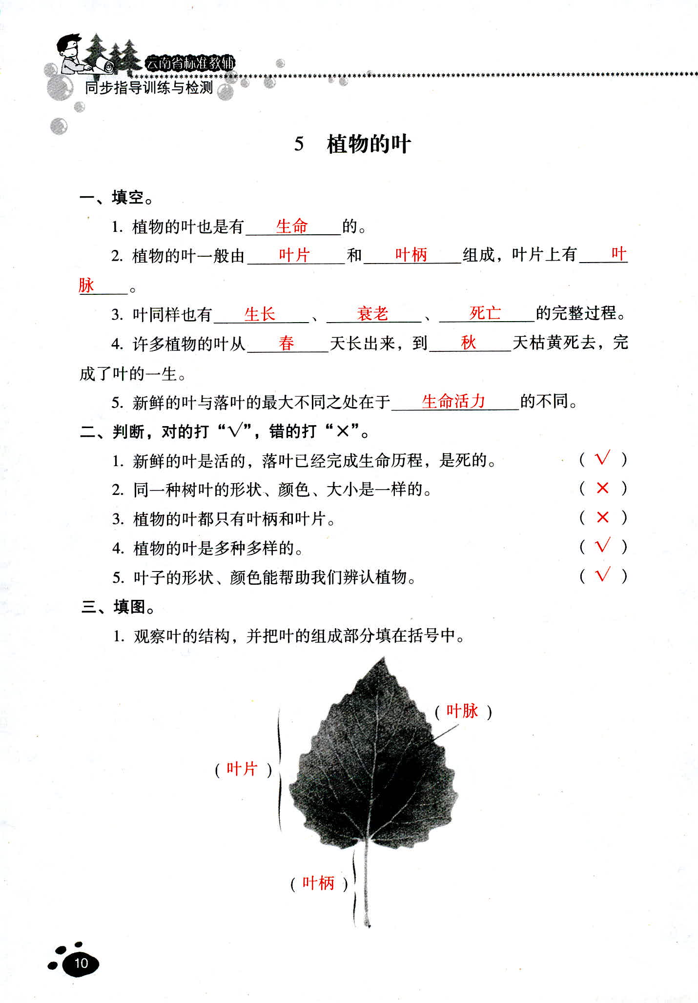 2018年云南省標準教輔同步指導訓練與檢測三年級科學教科版 第10頁