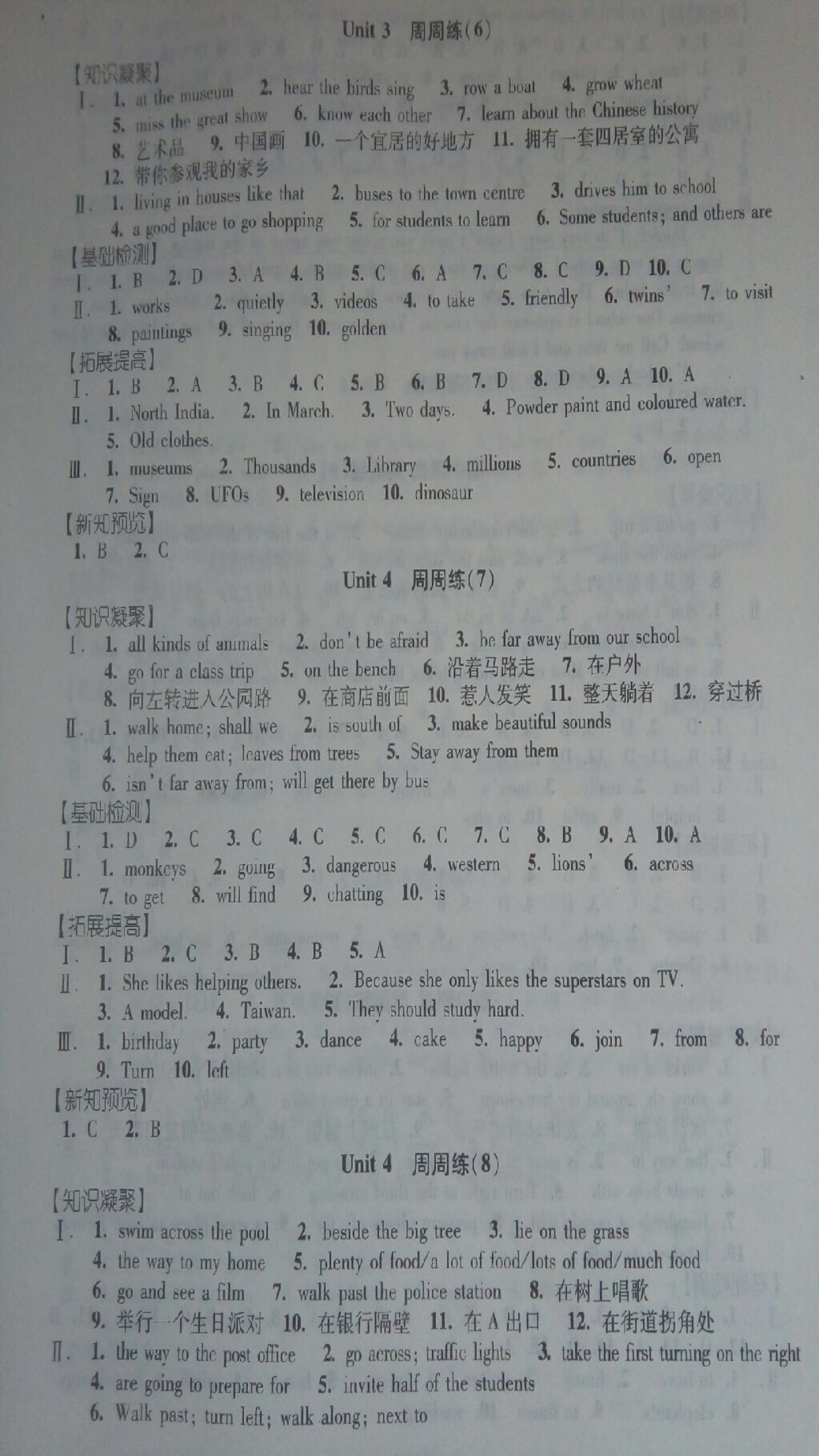 2017年阳光互动绿色成长空间七年级英语 第3页