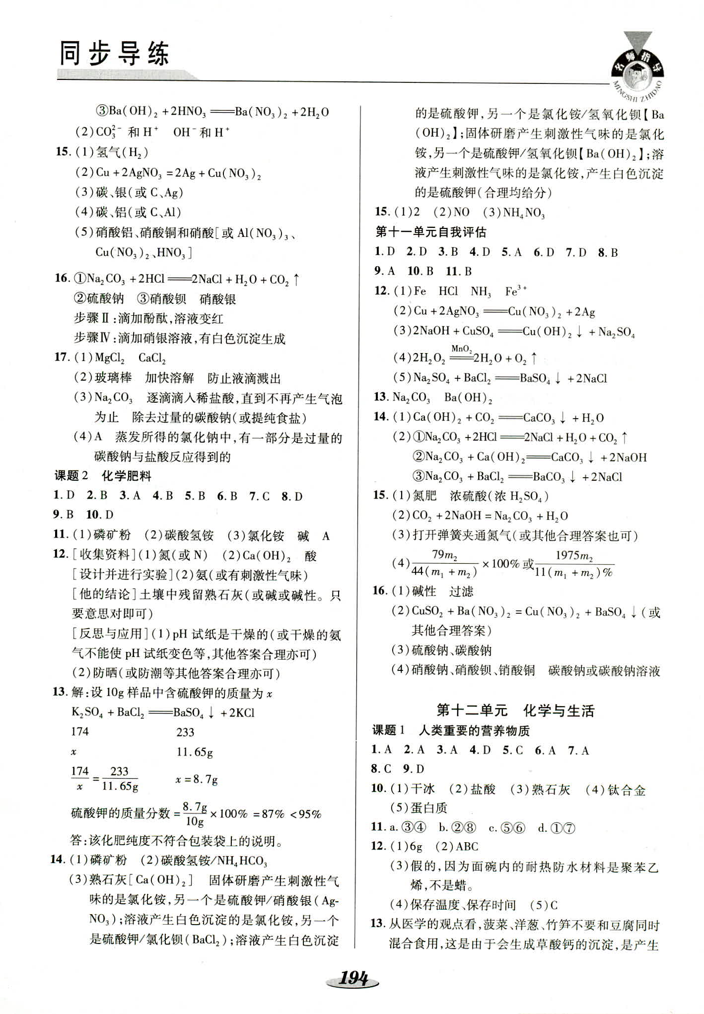 2018年新课标教材同步导练九年级化学其它 第13页