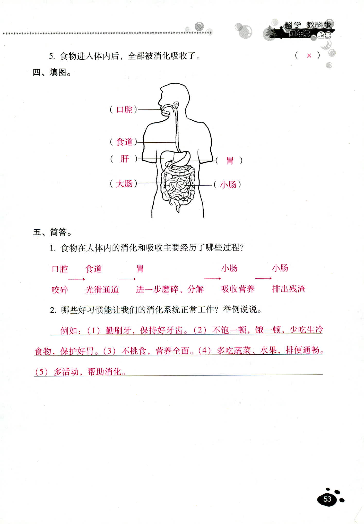 2018年云南省標準教輔同步指導(dǎo)訓(xùn)練與檢測四年級科學(xué)教科版 第53頁