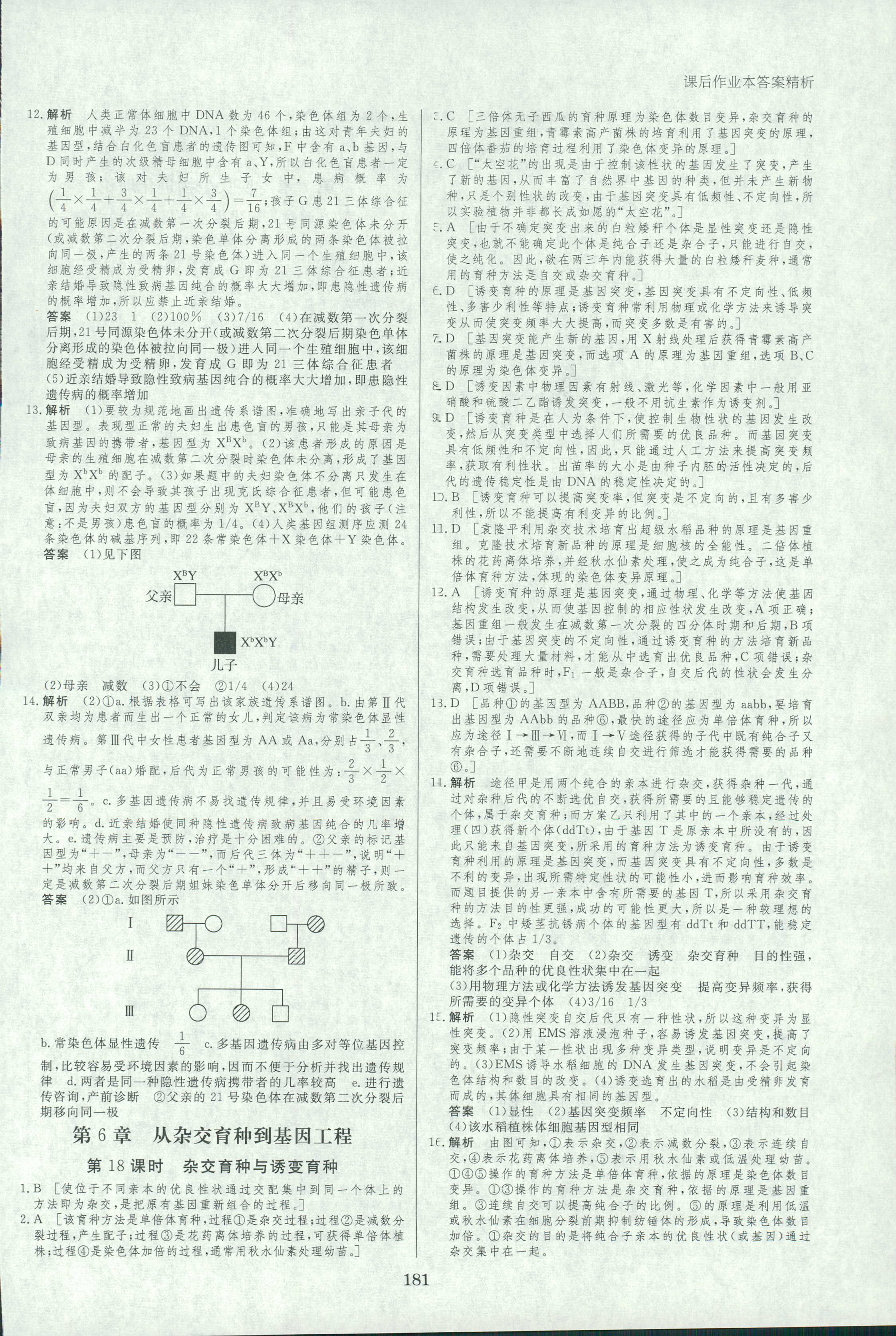 2018年創(chuàng)新設計必修二生物人教版 第28頁