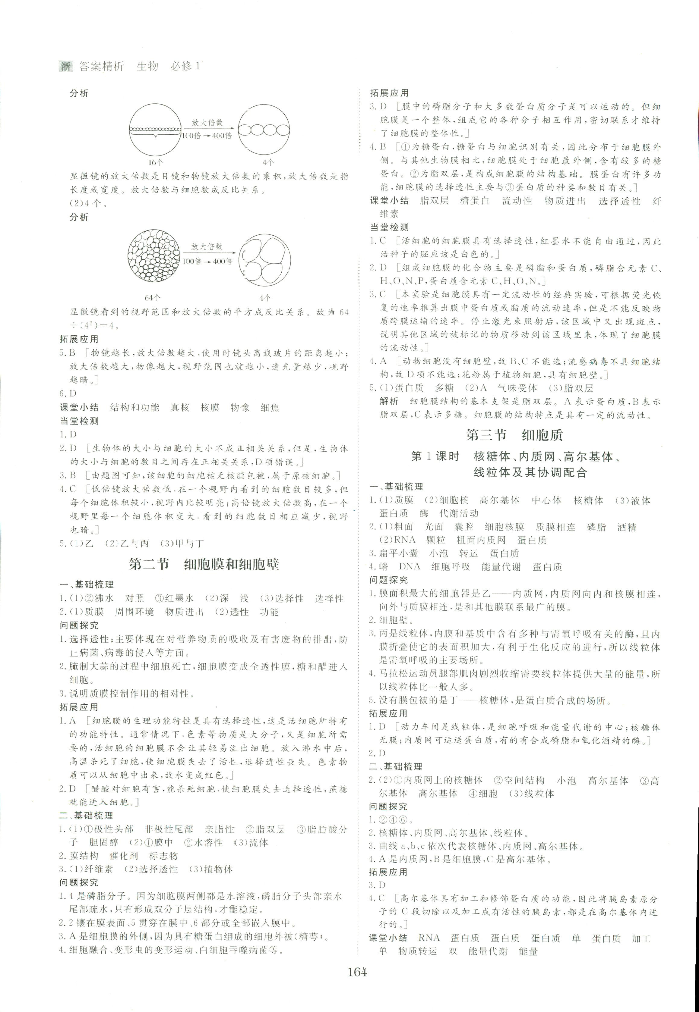 2017年步步高學(xué)案導(dǎo)學(xué)與隨堂筆記必修一生物其它 第4頁(yè)