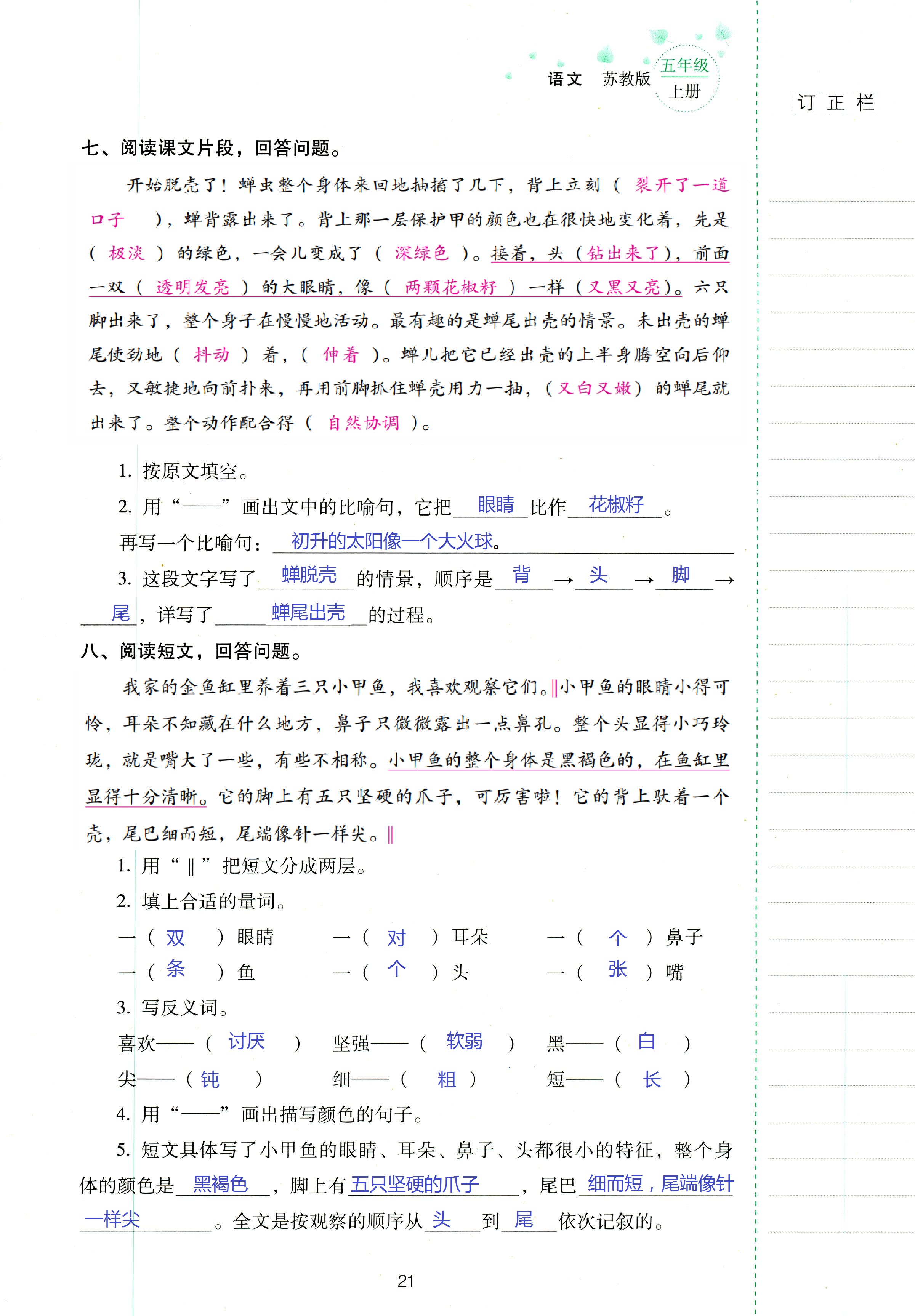 2018年云南省标准教辅同步指导训练与检测五年级语文苏教版 第21页