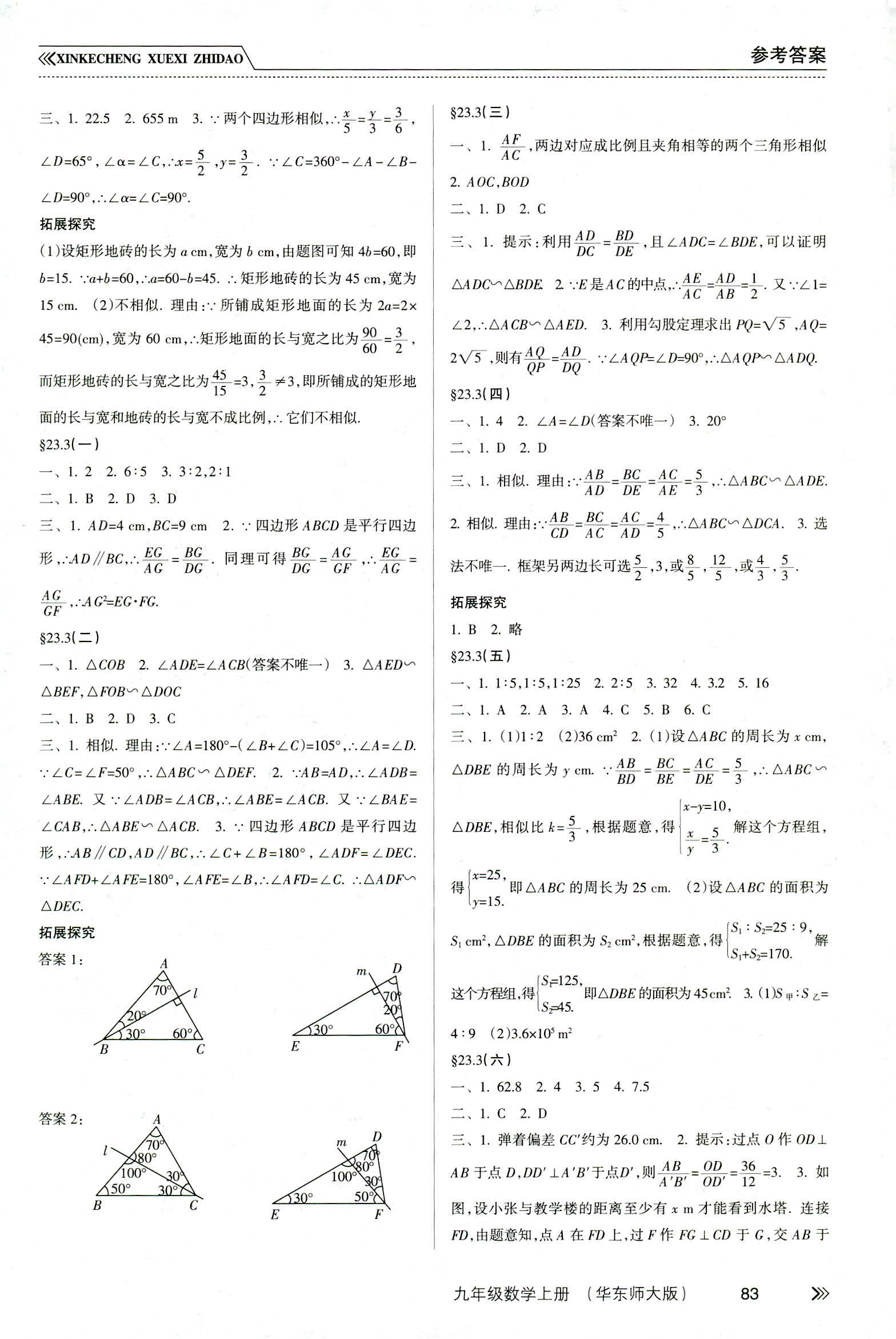 2018年新課程學(xué)習(xí)指導(dǎo)九年級數(shù)學(xué)華東師大版 第4頁