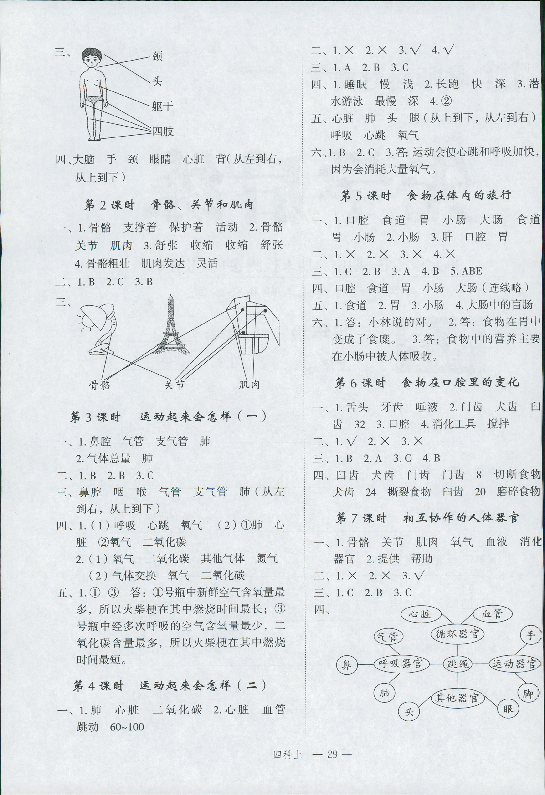 2018年名師面對(duì)面先學(xué)后練四年級(jí)科學(xué)教科版 第6頁