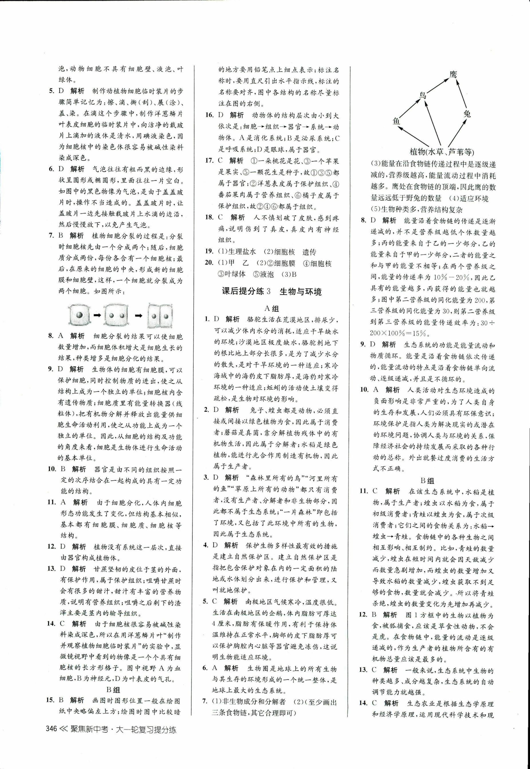 2017年聚焦新中考九年级科学 第34页