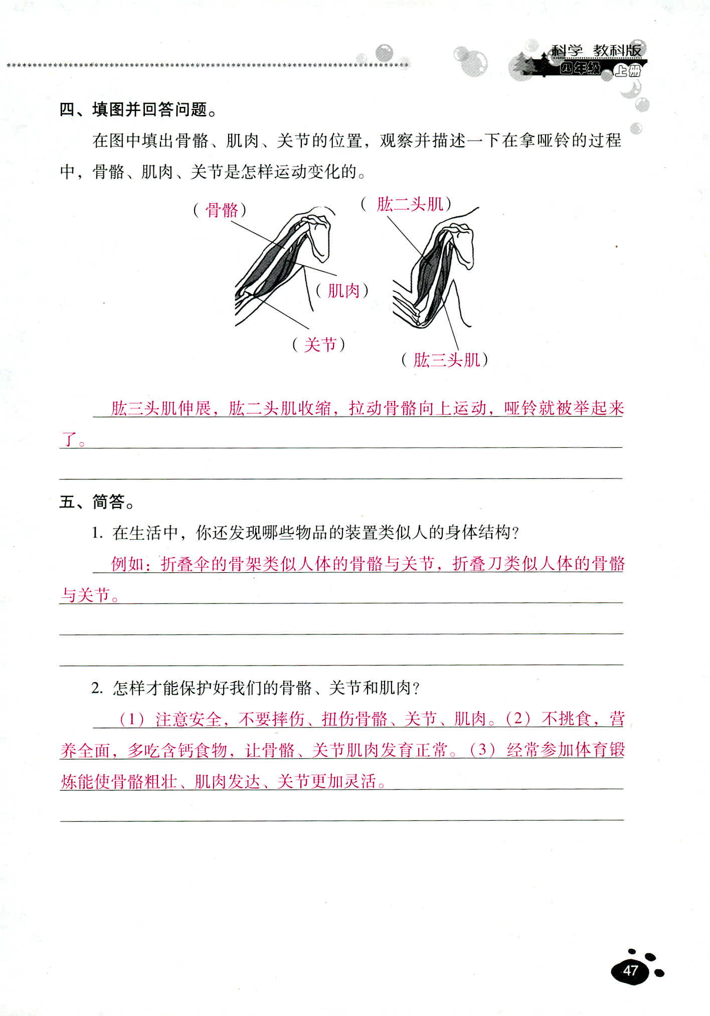 2018年云南省標(biāo)準(zhǔn)教輔同步指導(dǎo)訓(xùn)練與檢測四年級科學(xué)教科版 第47頁