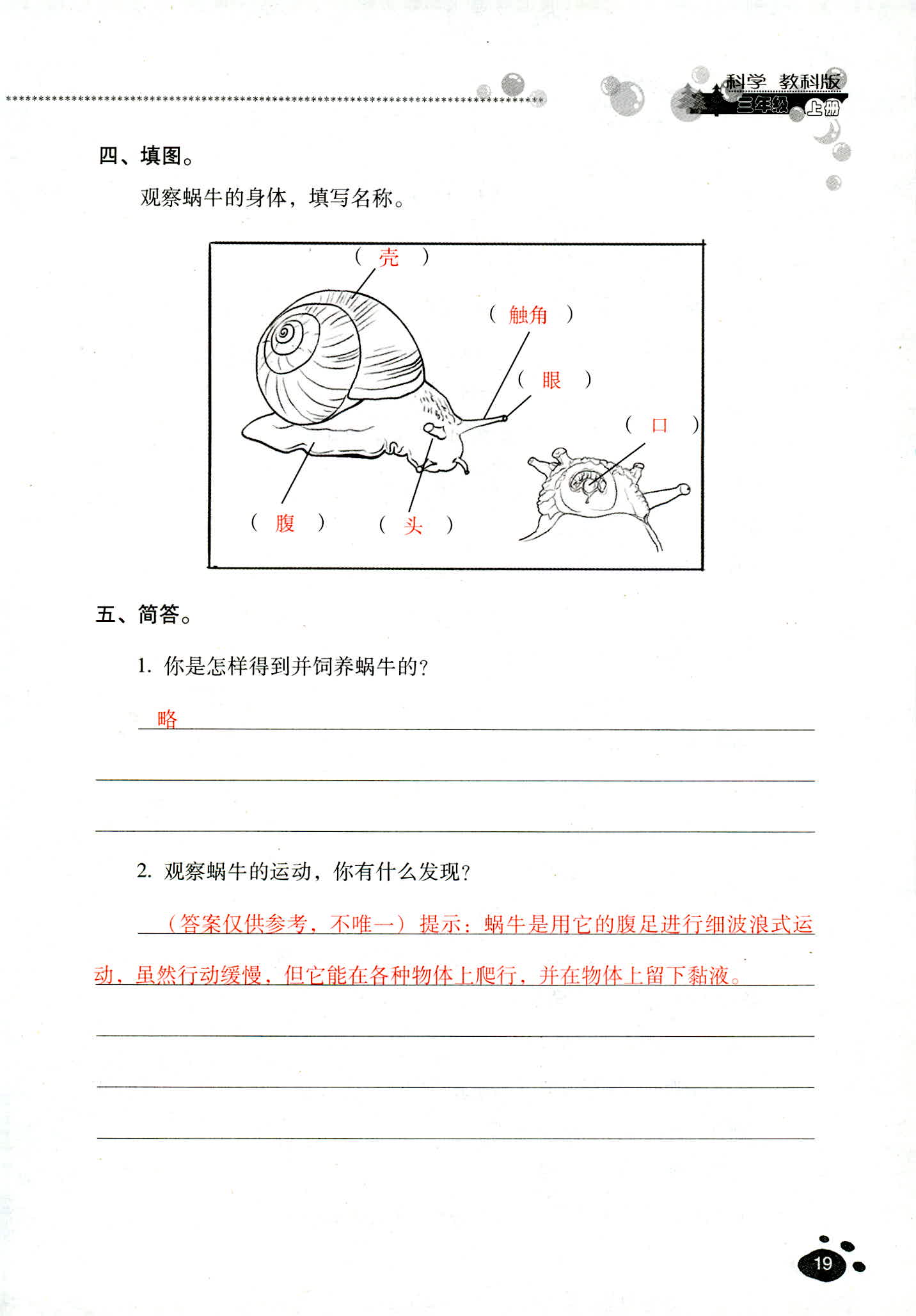 2018年云南省標準教輔同步指導訓練與檢測三年級科學教科版 第19頁