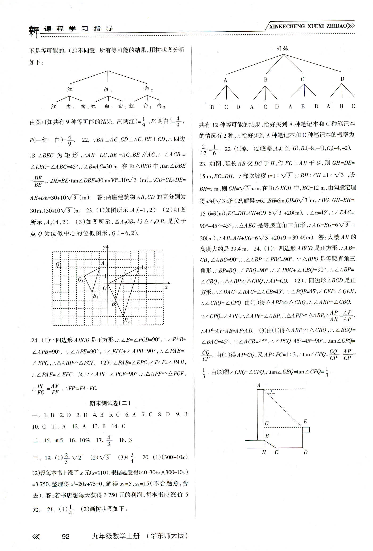 2018年新課程學(xué)習(xí)指導(dǎo)九年級數(shù)學(xué)華東師大版 第13頁