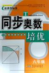 2017年同步奥数培优六年级数学人教版