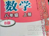 2018自主學(xué)習(xí)能力測評數(shù)學(xué)8八年級上冊參考答案