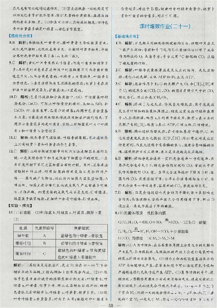 2018新版同步導(dǎo)學(xué)案課時(shí)練生物必修1人教版答案 第41頁(yè)