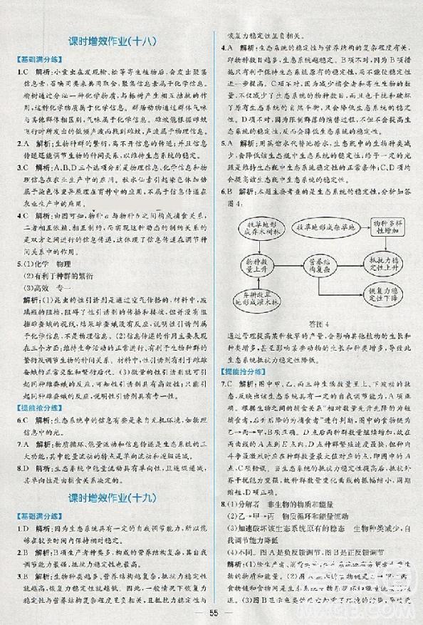 2018人教版同步導(dǎo)學(xué)案課時(shí)練生物必修3參考答案 第36頁(yè)