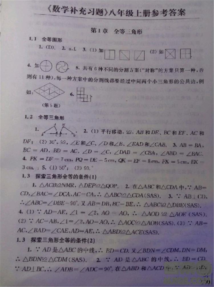 2018秋數(shù)學(xué)補(bǔ)充習(xí)題八年級(jí)上冊(cè)蘇科版參考答案 第1頁(yè)