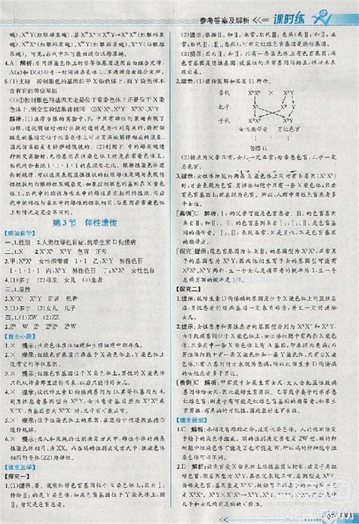 2018版同步導(dǎo)學(xué)案課時(shí)練生物人教版必修2參考答案 第10頁